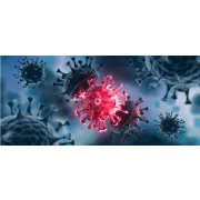 Organoid Culture Tools