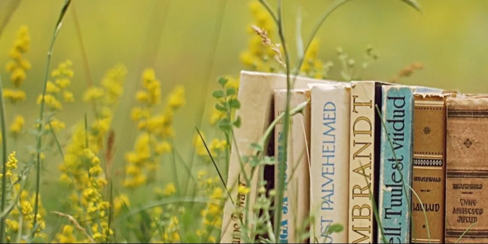 Write My Assignments